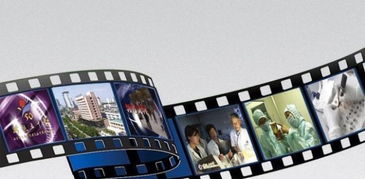 專業(yè)企業(yè)文化宣傳，點(diǎn)亮臨安企業(yè)風(fēng)采——宏人影視免費(fèi)策劃、攝像及制作服務(wù)